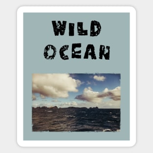 Wild Ocean - Atlantic Coast Madeira Magnet